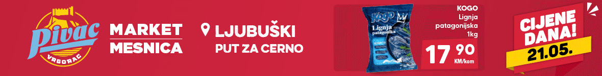 Pivac veliki