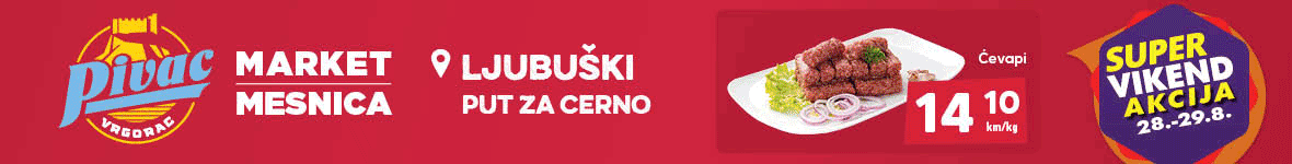 Pivac veliki