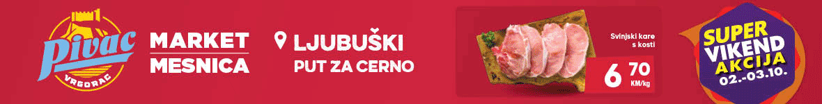 Pivac veliki